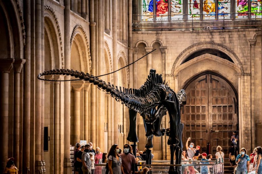 Dinosaur skeleton reproduction in Norwich cathedral