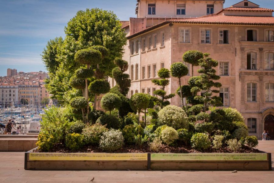 Marseille topiary garden